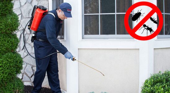 19 Mayıs Akrep İlaçlama böcek ilaçlama ve haşere kontrolü — ilaclama-tr.com